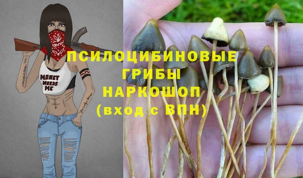 мескалин Верхний Тагил