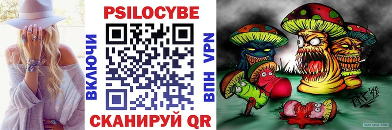 Псилоцибиновые грибы Psilocybe Елец